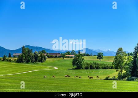 Allemagne, Bavière, Pfaffenwinkel, Penzberg, hameau de Promberg contre les contreforts des Alpes Banque D'Images