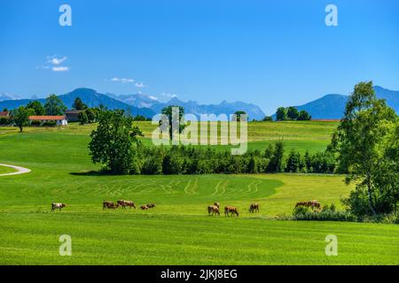 Allemagne, Bavière, Pfaffenwinkel, Penzberg, hameau de Promberg contre les contreforts des Alpes et des monts Karwendel Banque D'Images