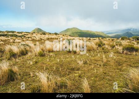 A beautiful view of the famous Mount Taranaki in New Zealand Stock Photo