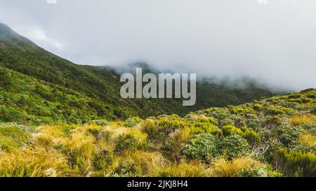 A beautiful view of the famous Mount Taranaki in New Zealand Stock Photo