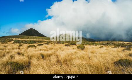 A beautiful view of the famous Mount Taranaki in New Zealand Stock Photo