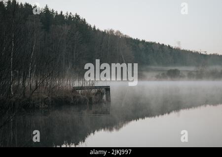 A beautiful shot of leafless trees in a forest by the lake with reflection in water and gray foggy sky Stock Photo