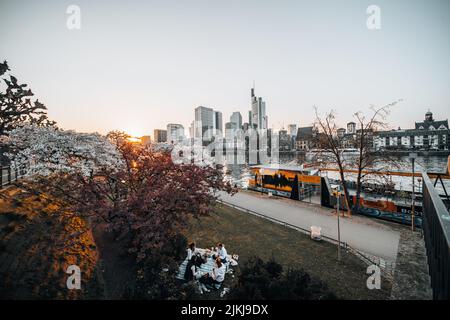 A group of friends doing a picnic in the park near the river at the sunset in the metropolis city Frankfurt Stock Photo