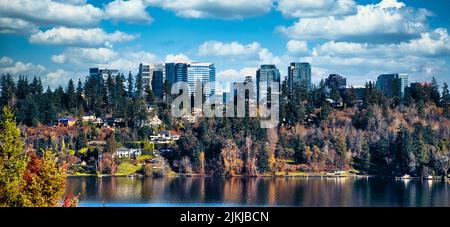 A scenic view of Bellevue with skyscrapers hidden behind trees across Lake Washington Stock Photo