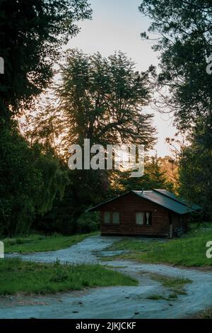 A vertical shot of a cute small house surrounded by trees under the clear sky Banque D'Images
