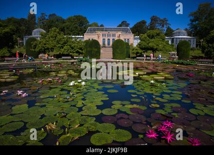 Water Lily Pond, Maison de campagne mauresque, jardin zoologique et botanique, Wilhelma, Stuttgart, Bade-Wurtemberg, Allemagne Banque D'Images