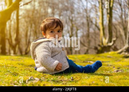 Un garçon d'un an assis dans la forêt un matin de printemps, regardant la caméra au coucher du soleil Banque D'Images