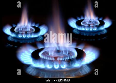 Flammes de gaz brûlant sur un poêle avec une flamme bleue Banque D'Images