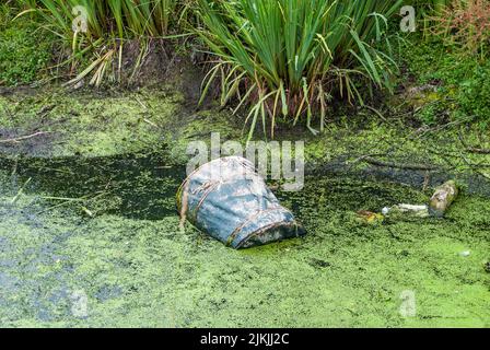 A closeup of the old metal bucket in the river with green scum on the surface. Stock Photo