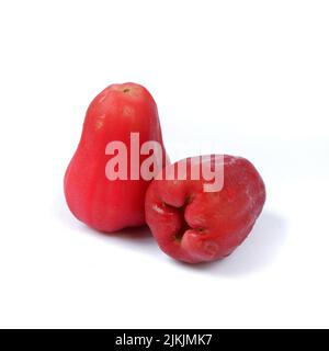 Pomme rose ou goyave d'eau isolée sur fond blanc Banque D'Images