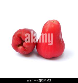 Pomme rose ou goyave d'eau isolée sur fond blanc Banque D'Images