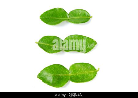 Vue de dessus des feuilles de citron vert sur fond blanc Banque D'Images