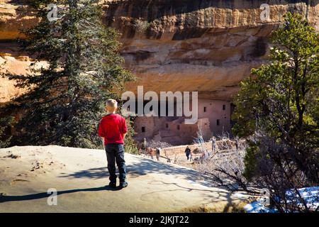 Un jeune garçon regarde à travers le canyon pour voir les ruines de Spruce Tree House des Anasazi lors de sa visite au parc national de Mesa Verde, CO Banque D'Images