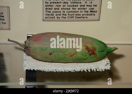 Le fruit du yucca a été recueilli par les Anasazi et demeure aujourd'hui un aliment nutritionnel traditionnel. Il est mangé cru ou cuit et peut être séché et stocké pour Banque D'Images