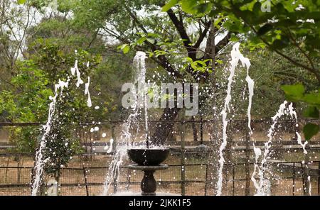 A scenic view of water dripping from water fountain in the park Banque D'Images