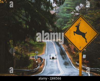 A deer-crossing sign on the forest road Stock Photo