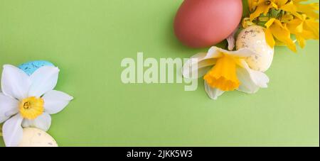 a top view shot of yellow shrub flowers, a chicken egg, green and yellow Easter egg decorations on a green background. Banque D'Images
