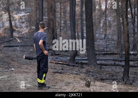 Schmilka, Allemagne. 02nd août 2022. Un pompier étudie les dégâts causés par un incendie dans la zone centrale du parc national de la Suisse saxonne, à Großer Winterberg, dans la zone frontalière germano-tchèque. Credit: Sebastian Kahnert/dpa/Alay Live News Banque D'Images