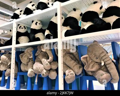 Moscou, Russie, juillet 2019 : les pandas géants de Teddy avec des petits et des éléphants gris assis l'un derrière l'autre, sur des chaises bleues comme un bus sur un TH blanc Banque D'Images