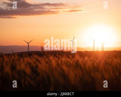 A picturesque view of wind turbines in the field with the bright sun in the background Stock Photo