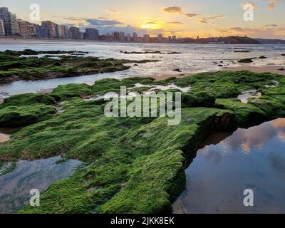 Une pierre recouverte de mousse sur la plage avec un panorama urbain sur le fond Banque D'Images