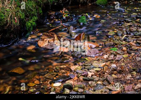 A closeup shot of a rocky shallow creek flowing downstream Stock Photo