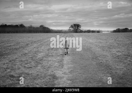 A grayscale back shot of a child girl walking in an empty field with leafless trees on the horizon against cloudy sky Stock Photo