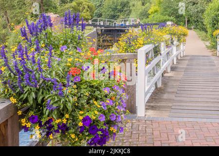 Pont pied de l'autre côté du canal, Newbury, Berkshire, Royaume-Uni Banque D'Images