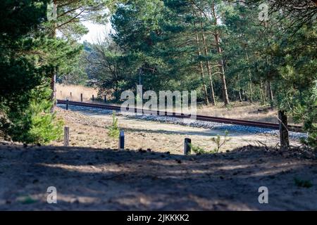 A beautiful shot of a railway through the forest Stock Photo