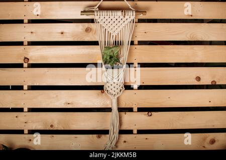 A closeup shot of a plant in a pot hanging from a macrame wall with a wooden wall in the background Stock Photo