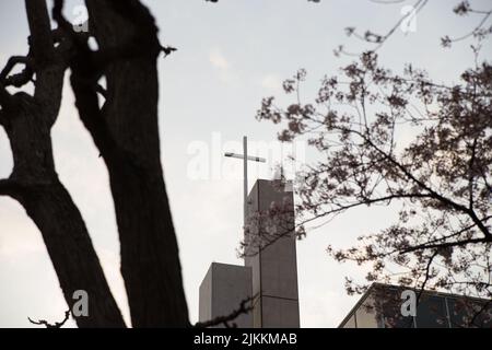 A low-angle shot through a flowering tree, on the modern white church steeple with cross on top against cloudy sky. Stock Photo