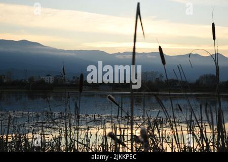 A beautiful shot of a small lake on a sunny day Stock Photo