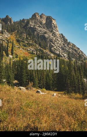 Une vue panoramique sur la montagne et les prairies dans le parc national de Grand Teton, Wyoming, États-Unis Banque D'Images