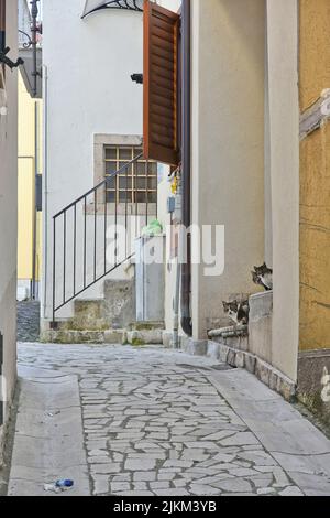 A vertical shot of a street with cats among the old houses of Paternopoli, a village in the province of Avellino, Italy Stock Photo
