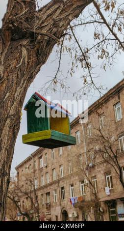 A vertical shot of a colorful bird house hanging from a tree in the background of a building and a cloudless sky Stock Photo