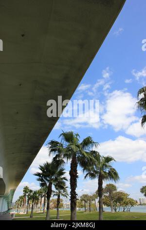 A vertical shot of palm trees in the park on the shore of the sea Stock Photo