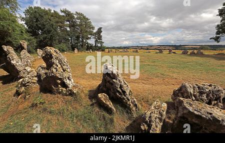 Rollright Stones 2500BC - les rois hommes dans un cercle panorama, Little Rollright, long Compton, Warwickshire, Angleterre, ROYAUME-UNI, OX7 5QB Banque D'Images