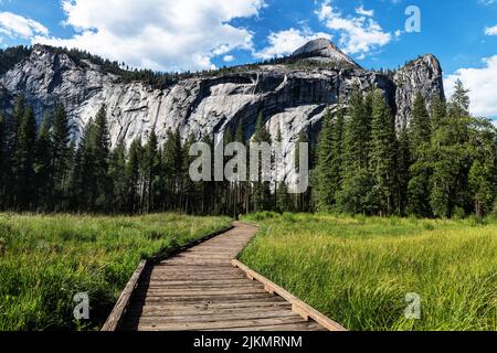 Chemin en bois à travers la vallée de Yosemite, parc national de Yosemite, Californie Banque D'Images
