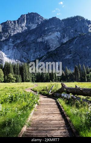 Chemin en bois à travers la vallée de Yosemite, parc national de Yosemite, Californie Banque D'Images