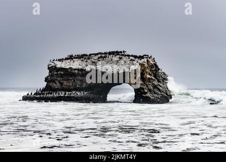 Ponts naturels State Beach, Santa Cruz, Californie Banque D'Images