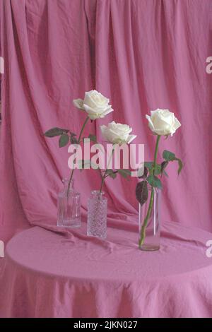 A vertical shot of three roses in glass vases on a table covered by pink fabric Banque D'Images
