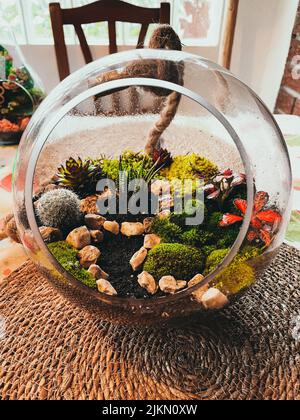 Un cliché vertical d'un magnifique terrarium rond avec de succulents plantes et d'autres plantes sur une table de salle Banque D'Images
