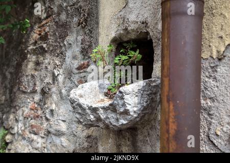 Tuyau de système de drainage pour l'eau de pluie qui coule dans un fossé.  Une promenade en brique à travers elle. Campagne russe Photo Stock - Alamy