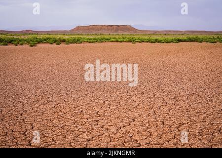 Désert. Vue aérienne d'une belle fissure dans le sol. Texture, fissure profonde. Effets de la chaleur et de la sécheresse. Banque D'Images