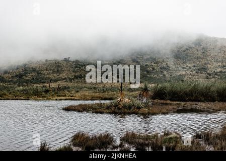 A view of Calima lake with growing Frailejones shrubs in background of greenery hills on foggy day Stock Photo