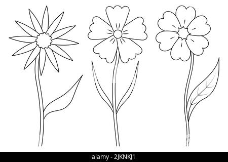 Fleurs sauvages. Esquisse. Ensemble d'illustrations vectorielles. Bourgeons fleuris. Une plante à fleurs avec une feuille sur une tige. Style Doodle. Contour sur arrière-plan isolé Illustration de Vecteur