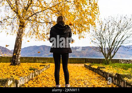 Les feuilles d'automne sont tombées sur une seule femme marchant dans la ruelle d'automne. Paysage d'automne, feuillage orange dans un parc à Orsova, Roumanie, 2020 Banque D'Images