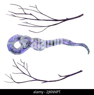 Aquarelle a dessiné à la main l'illsufiltration de serpent violet effrayant avec deux branches d'arbre noir. Sorcière concept de sorcellerie, magie mystique occulte automne clipart, serpent toxique Banque D'Images