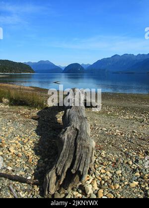 Magnifique paysage en Nouvelle-Zélande. Banque D'Images