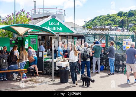 Oban Resort ville et quai, cabane verte vendant des fruits de mer frais et des coquillages aux clients, Oban, Argyll, Écosse le soleil été jour 2022 Banque D'Images